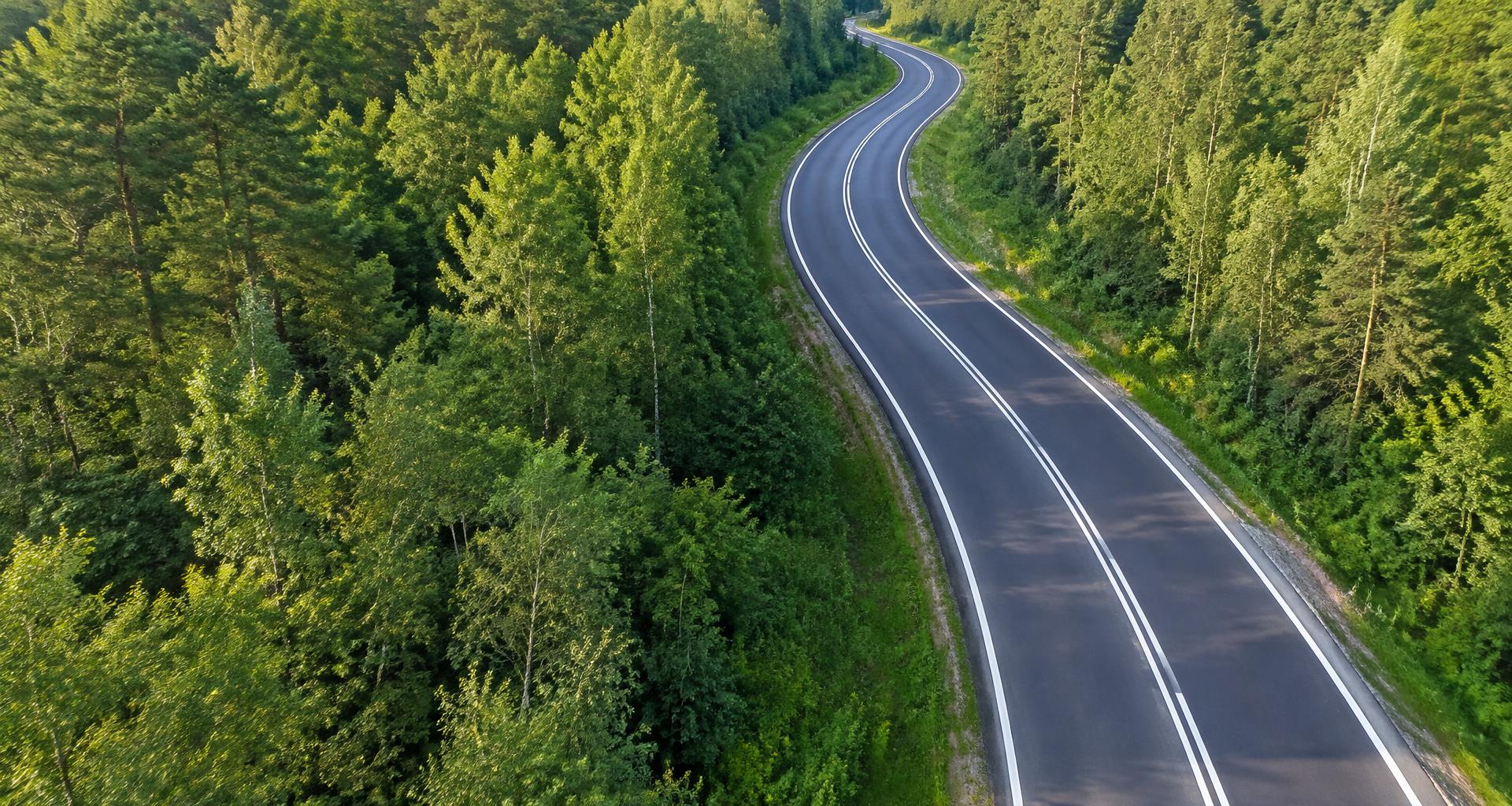 Droga z wyraźnym oznakowaniem poziomym pośród zielonych lasów